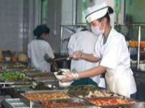 攜手金飯碗，共贏新“食”代 廣州團膳配送與食堂承包服務的品質之選